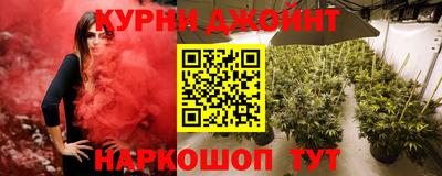 гашик Малгобек