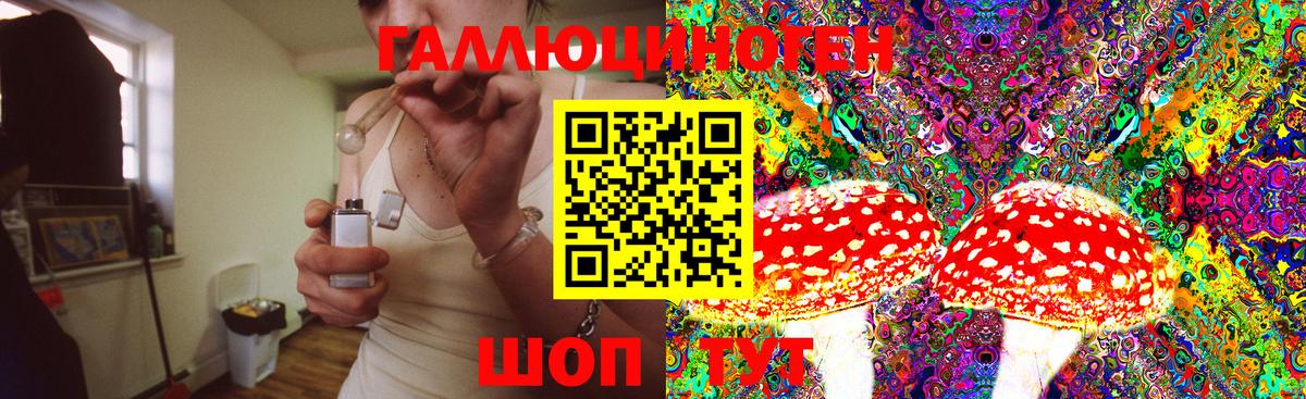 Елизово  Псилоцибиновые грибы Psilocybine cubensis  Вход с VPN 