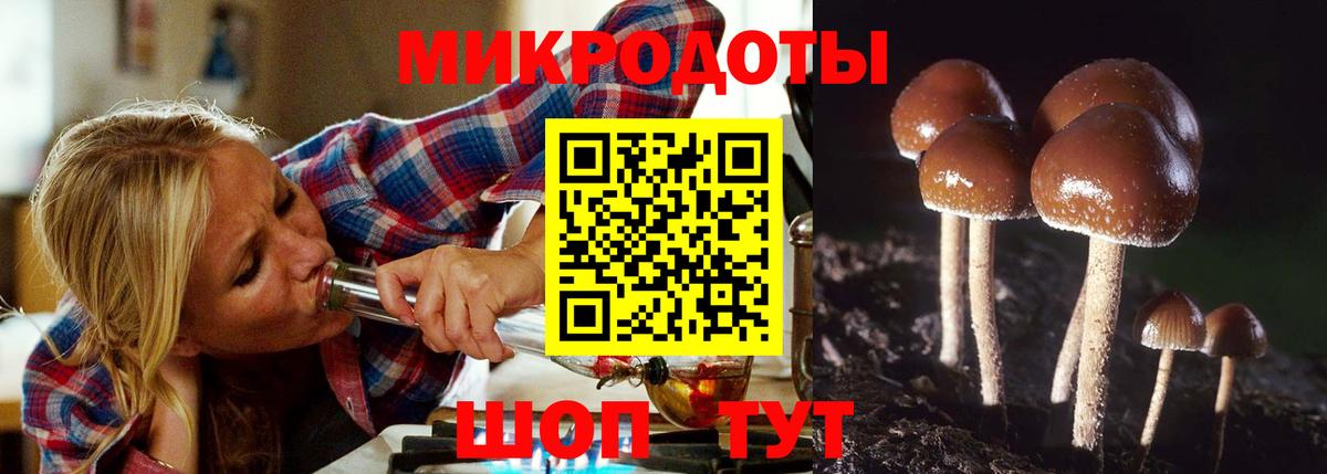 Псилоцибиновые грибы GOLDEN TEACHER Елизово