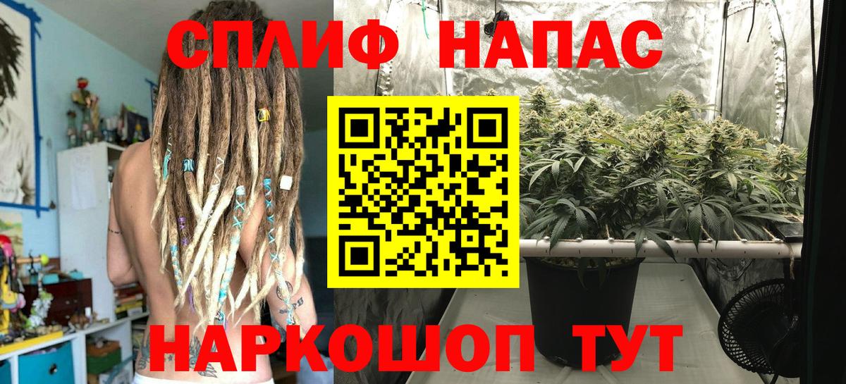 Елизово  Бошки Шишки индика  Каннабис конопля  Шишки марихуана тримм  Каннабис SATIVA & INDICA  Вход с VPN 